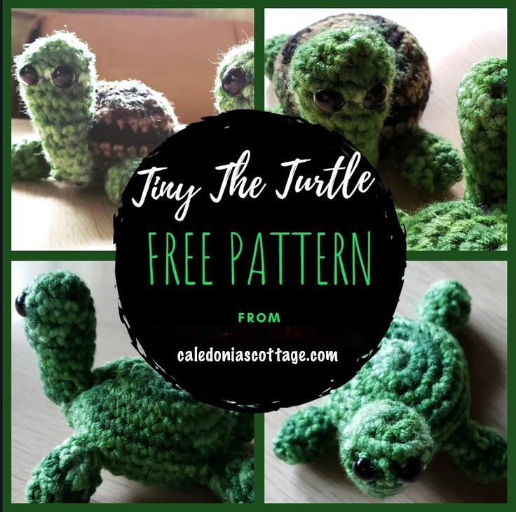 Tiny the Turtle Amigurumi | Free Turtle Crochet Pattern | Caledonia’s Cottage